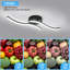 DELIPOP Parallel Wave LED Flush Mount