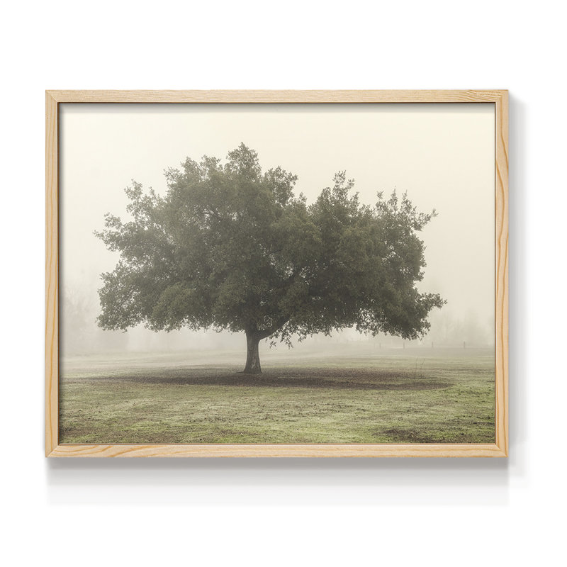 Trees in the Fog II -Framed Print - Restickable, H 8 po x l 10 po, Naturel