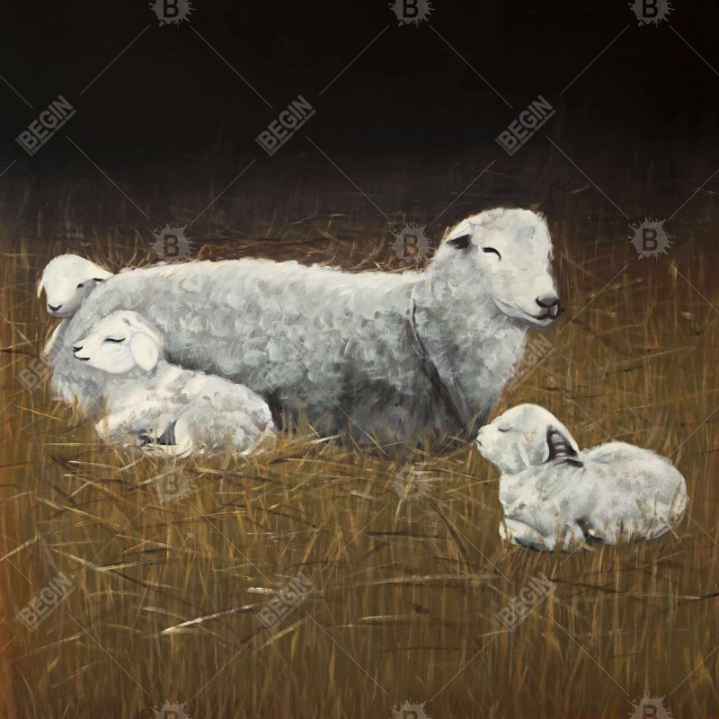 Sheep and Lambs Square Throw Pillow Cover, 16" x 16"