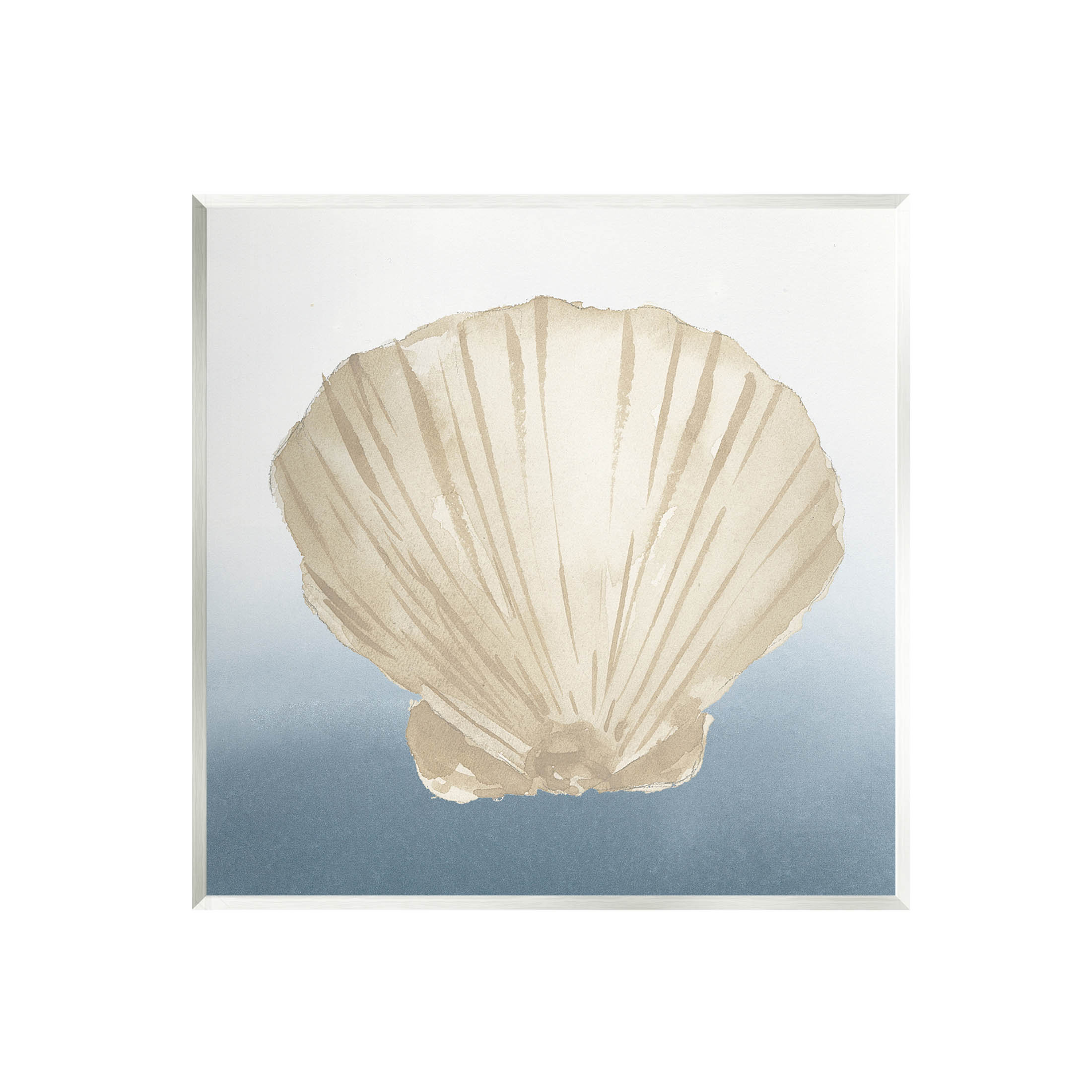 Stupell Industries Aquatic Seashell Clam Composition Giclee Art By ...