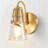 1 - Light Dimmable Armed Sconce