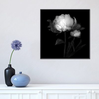" Peonies III, B&W " by Magda Indigo