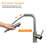 Red Cloud Pull Down Kitchen Faucet