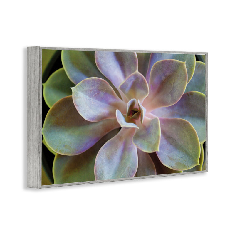 «Giclee Art» par Susan Bryant, Estampe numérique Farmhouse, H 16 po x l 24 po