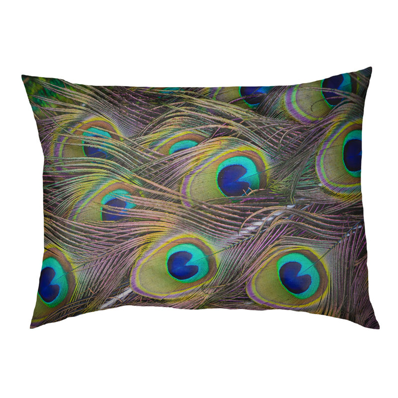 Coussin de concepteur peacock plumes Burien, L 19,5 po x l 29,5 po, Marron foncé
