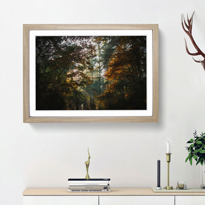 A Magical Forest - Framed Print