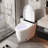 Smart One-Piece Elongated Toilet With Bidet, Heated Seat, Warm Air Dryer, UV-C Sterilization & Remote Control