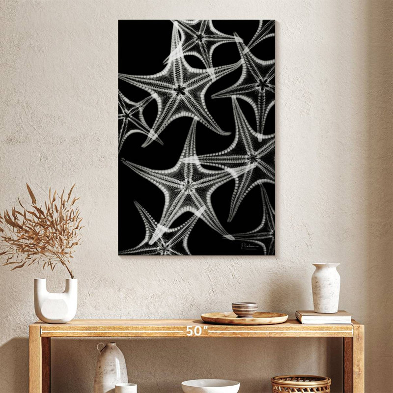 Brampt White Starfish, 39" H x 26" W
