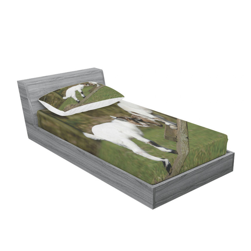 Microfiber Sheet Set