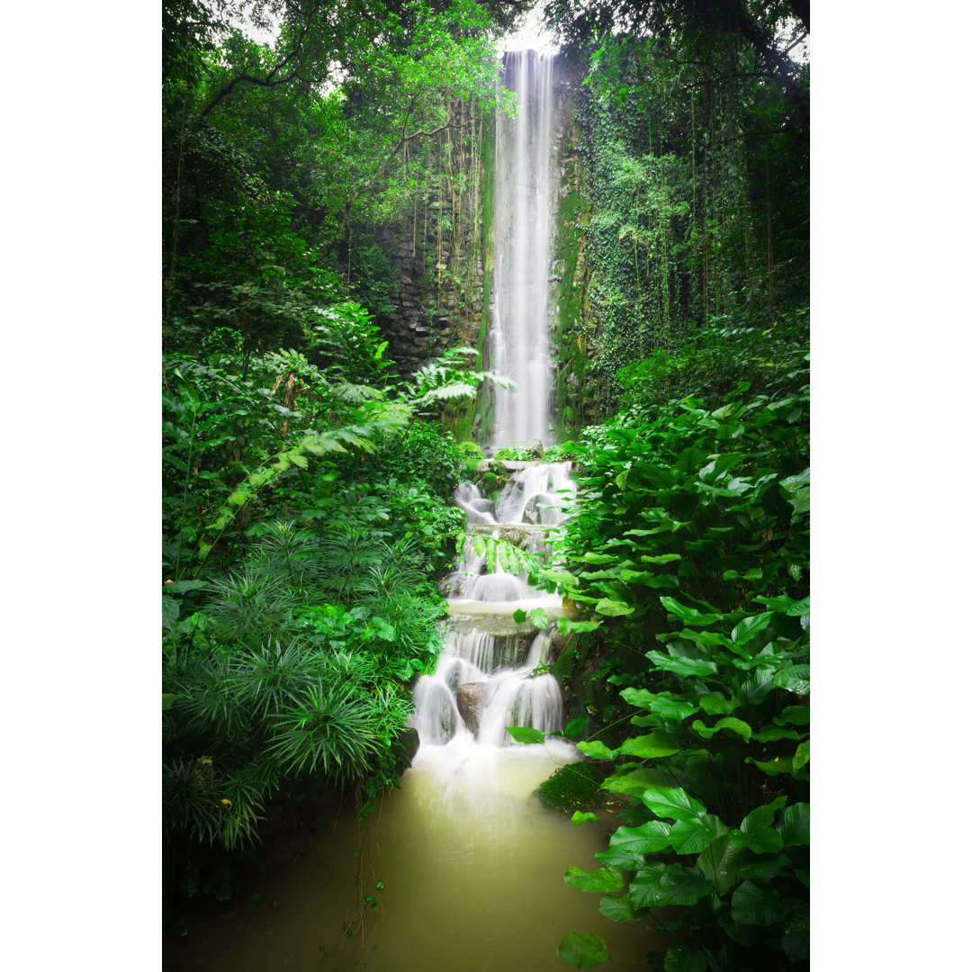 Wasserfall im Dschungel von TommL - Leinwand Kunstdrucke