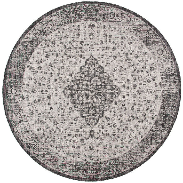 Arneshia Oriental Indoor/Outdoor Area Rug