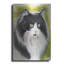 «Maine Coon 2» par Barbara Keith-225151867