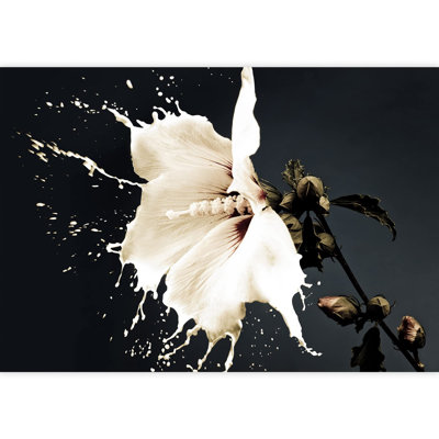 Grand papier peint auto-adhésif fleurs blanches avec éclaboussures de lait sur fond sombre