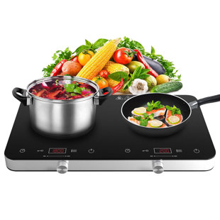 Plaque de cuisson électrique 12,2 po avec 2 brûleurs