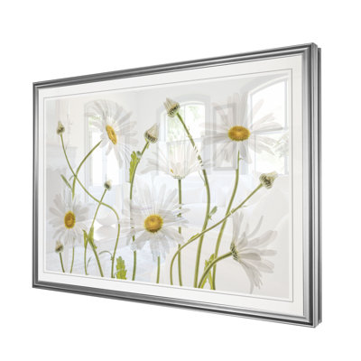 " High Kew Daisies "