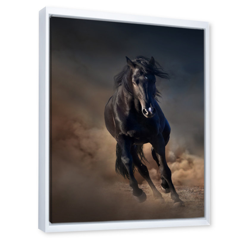 Portrait d'un cheval étalon Purius I - impression maison de campagne, H 40 po x l 30 po x 1,5 po, Cadre flottant blanc