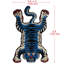 Tapis tigre tibétain 5 pi x 3,3 pi