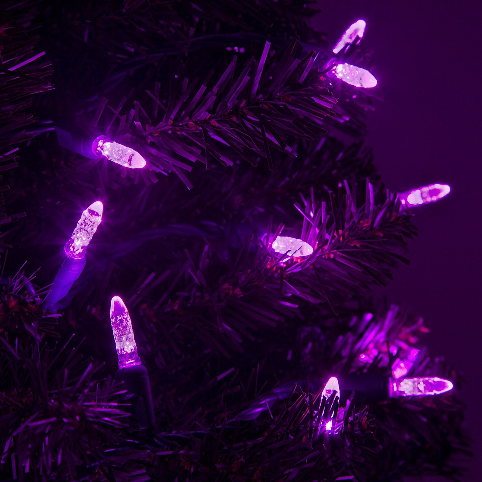 24' 70-Light LED Christmas String Lights, Purple