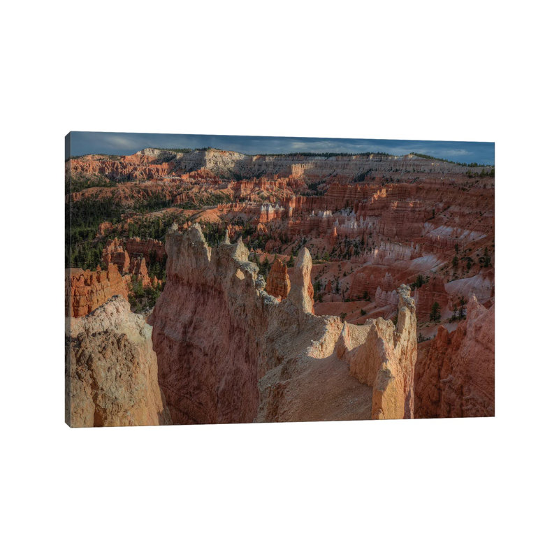 Standing Out In A Crowd by Bill Sherrell - Wrapped Canvas Print, 101.6 cm H x 66.04 cm W x 1.91 cm D