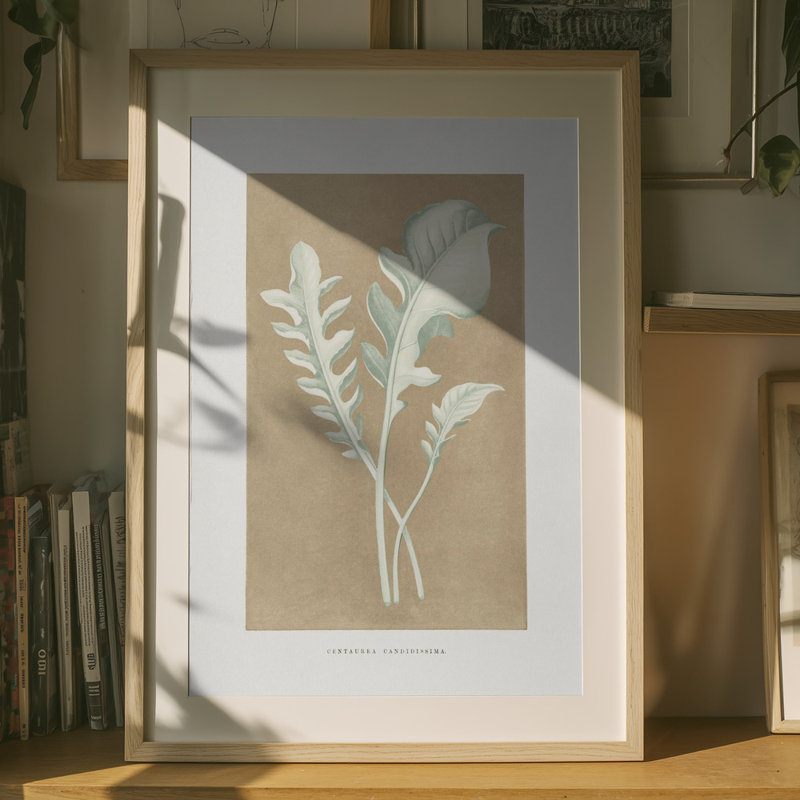Wrapped Canvas Print, 76.2 cm H x 50.8 cm W
