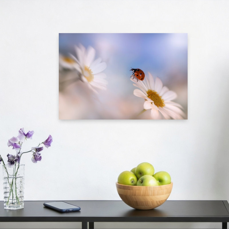 Ladybug On White Daisy Delicate Abstract Ladybug Daisy Flower Nature Wall Art Print - Print, 30.48cm H x 45.72cm W