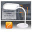 Lampe de bureau 13 po Yarbrough