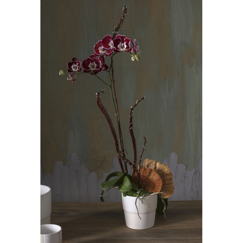 Pot à fleur en céramique Reggie, H 5 po x l 5 po x P 5 po