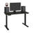 Adjustable Standing Desk-429288605-443380253