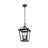 Miyashiro Outdoor Pendant in Black-1638806838