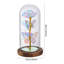 Cloche Or Water Globe-87854206
