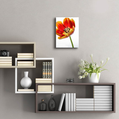 «Orange Poppy Opened Today» par Pamela Plummer