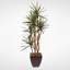 Faux Yucca Tree in Metal Planter
