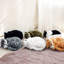Dalmazia Animals Figurines & Sculptures