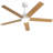 Julicia 52'' Ceiling Fan with LED Lights and Wall Switch-363906768