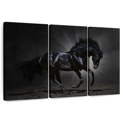 Cheval noir élégant