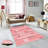 Elegant 3D Printed Area Rug, 4.6 x 7.2 ft | 100% Polyester, 0.31 in Pile Height, Antibacterial | Non-Slip PVC Felt Dot Underside, Machine Washable, Perfect for Living Room or Bedroom, Durable & Stylish Design-1304786053