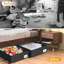Ebern Designs Underbed Storage-696236250
