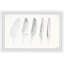 «Cinq plumes blanches II» par Adinel, reproduction de photo encadrée-1095866654