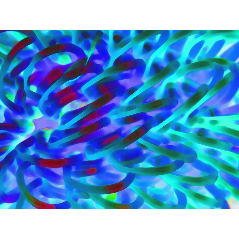 Daydreaming Print by Drew Gaffney, Black Framed Canvas, 25" H x 33" W