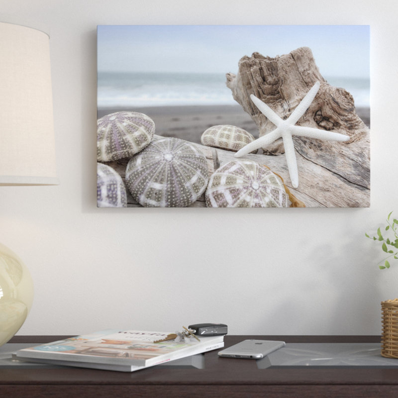«Crescent Beach Shells V», reproduction de photo sur toile, H 26 po x l 40 po x P 1,5 po, Toile tendue, Pas de tapis