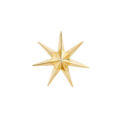 Étoile murale stellaire