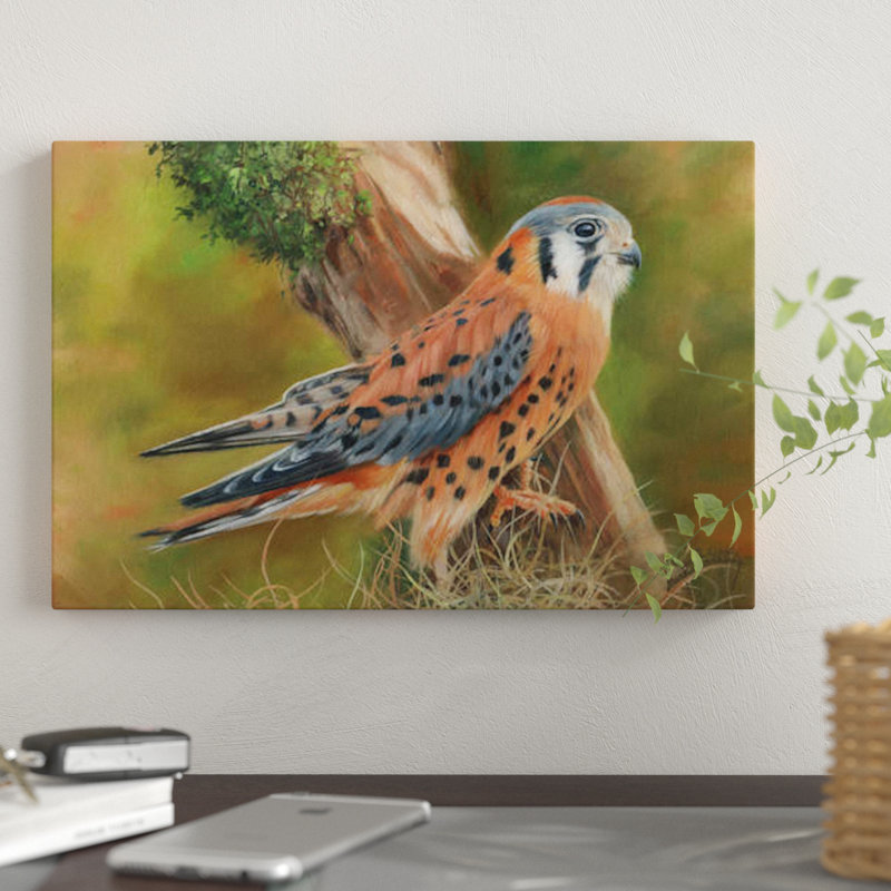 «American Kestrel», impression sur toile, H 12 po x l 18 po x P 1,5 po, Toile tendue, Pas de tapis