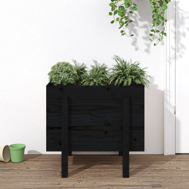 Meenakshi Wood Raised Garden Bed, Pine, Black, 57cm H x 62cm W x 50cm D