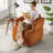Upholstered Living Room Chair, Accent Chair-116529393