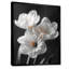 Monochromes blancs jaunes botaniques jonquilles II - jonquilles, impression d'art mural-1454073448-1454073451