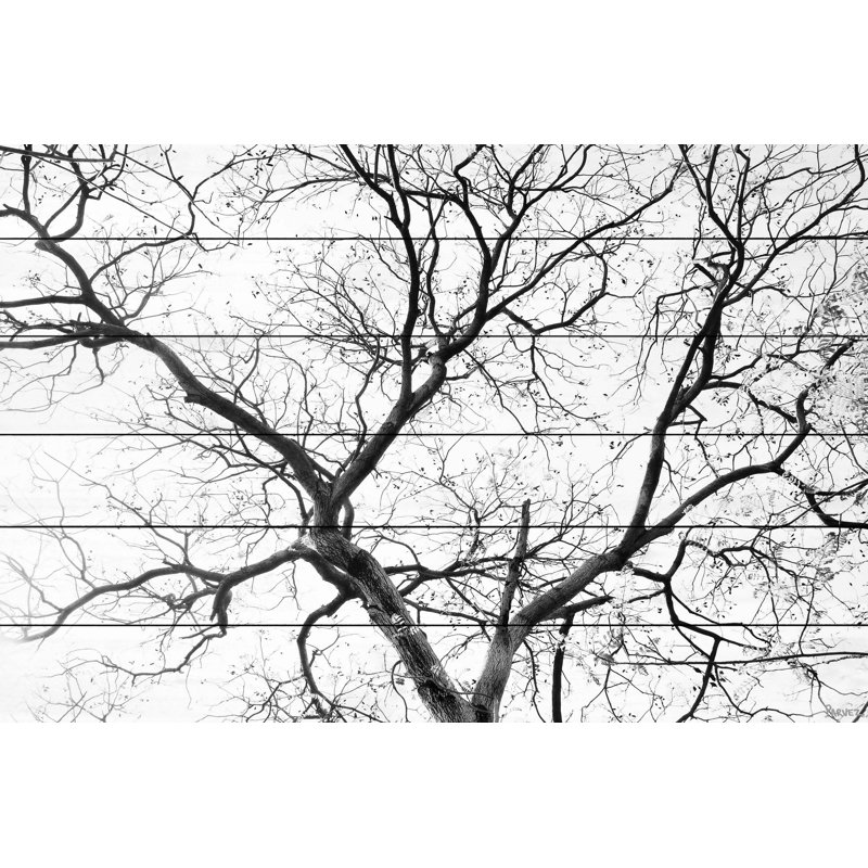 «Black Branches» par Parvez Taj - impression sur bois, H 8 po x l 12 po x p 1,5 po