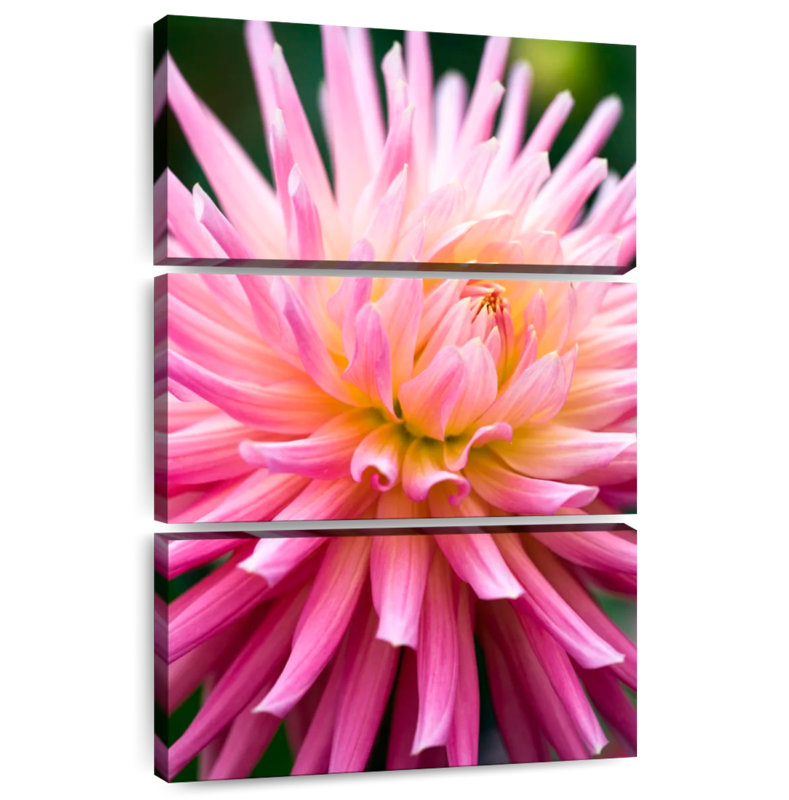 Harnek Dahlia Jeanne D'Arc