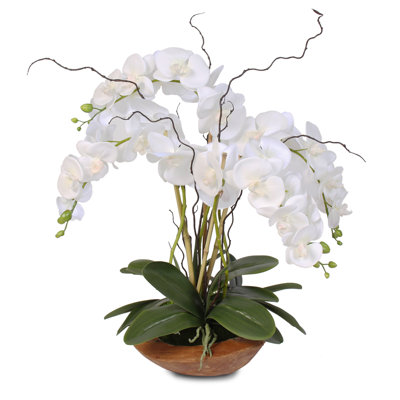 Real Touch Phalaenopsis Silk Orchid Floral Arrangement with Curly Willow