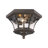 Dufton 2-Light Flush Mount-20605659-20605655