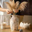 Vase en céramique de 9,6 pouces en terre cuite avec poignées, vase rustique de style campagnard pour décoration intérieure